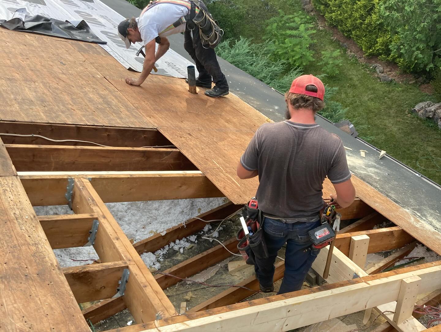 Shingle roofing installation Wellington County